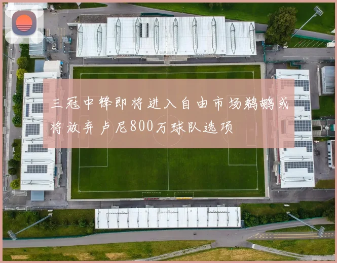 三冠中锋即将进入自由市场鹈鹕或将放弃卢尼800万球队选项